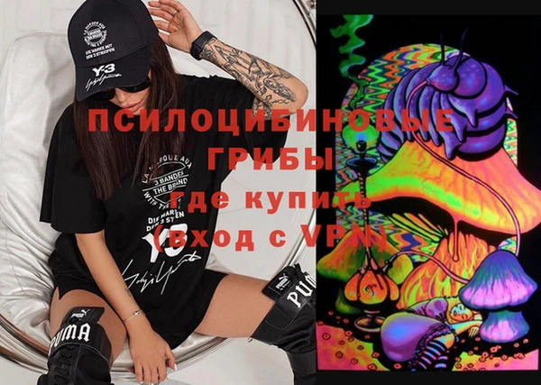 гашик Балахна