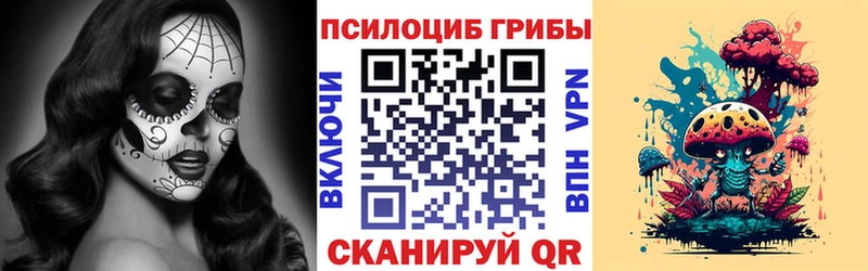 магазин наркотиков Будённовск Галлюциногенные грибы MAGIC MUSHROOMS